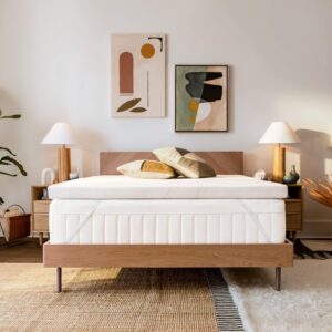 TEMPUR-Adapt (Supreme) 3″ Memory Foam Mattress Topper, Queen,White