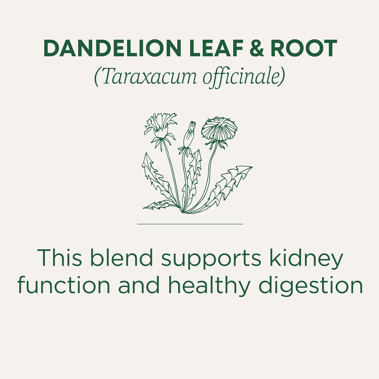 Traditional Medicinals Organic, Dandelion Leaf & Root - Dandelion Root Tea, Supports Normal Detox + Digestion - Kosher, Non-GMO, Caffeine-Free, Compostable - 16 Tea Bags - Image 3