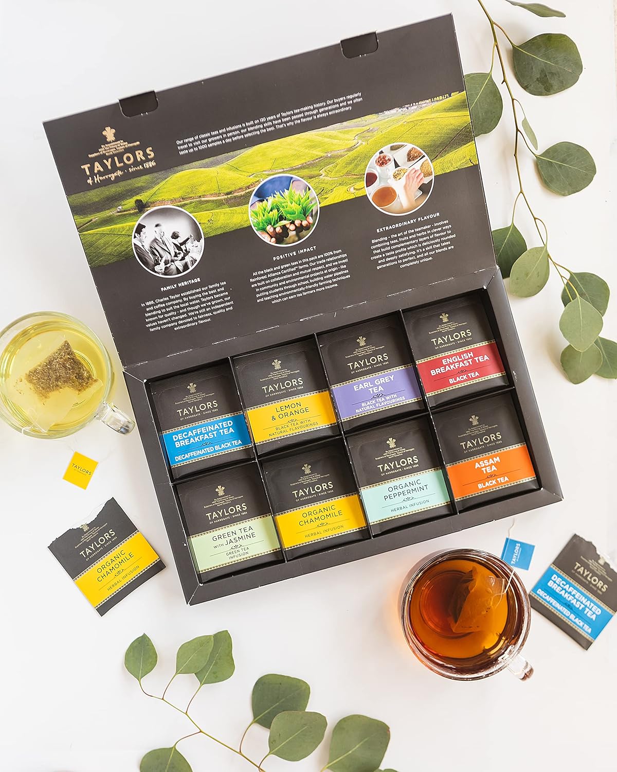 Taylors of Harrogate Assorted Specialty Teas Sampler, Variety Pack Gift Box, Individually Wrapped Bags, 48 Count (Pack of 1), Premium Black, Green & Herbal Teas, Mixed Caffeinated & Caffeine-Free Selection, 48 Teabags - Image 4