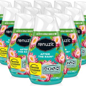 Renuzit Adjustable Gel Air Freshener Cone, After the Rain Scent, Nonstop Freshness, 7oz Cone, 12 Count, brand is Renuzit.