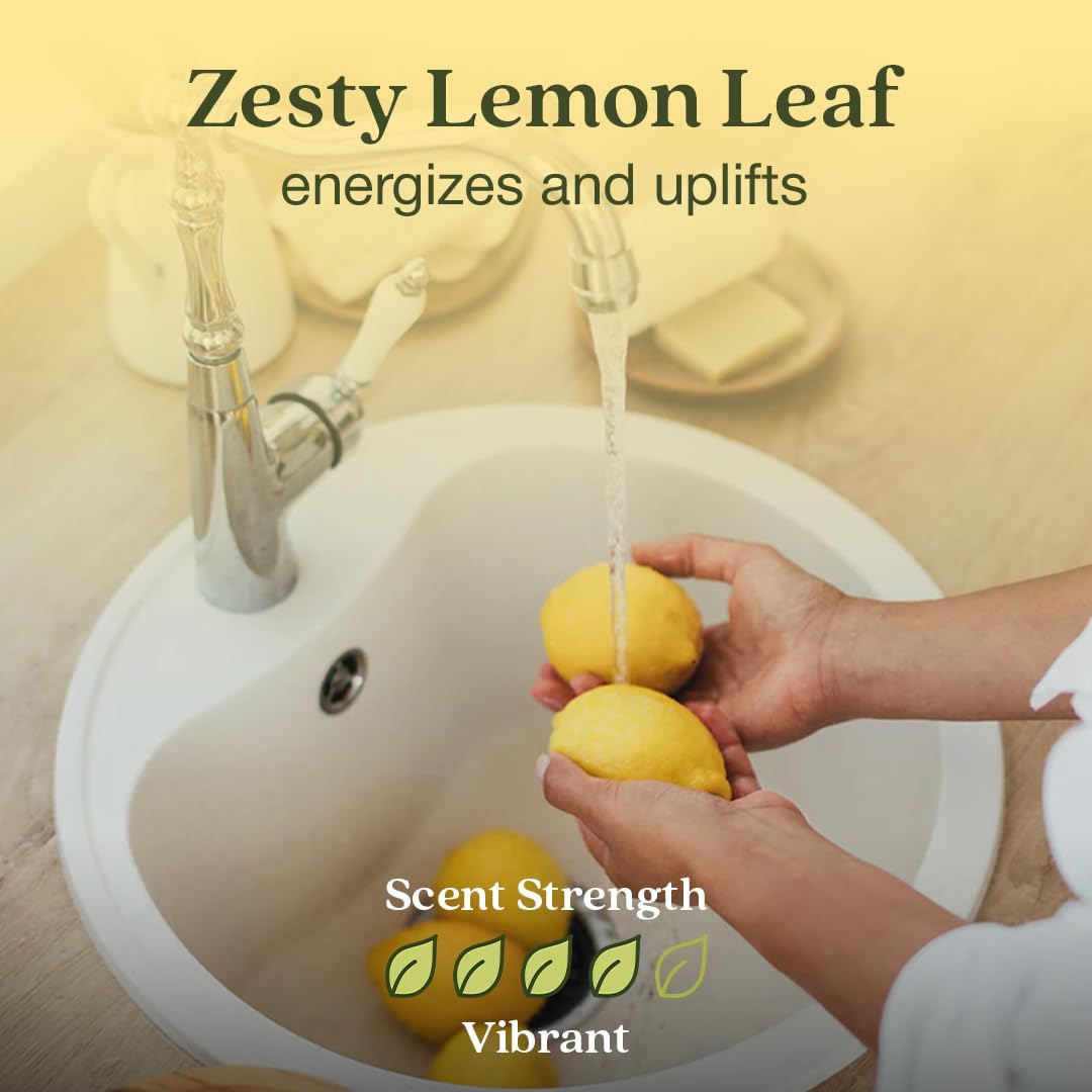 Enviroscent Non Toxic Air Freshener (Lemon Leaf & Thyme) Plug-in Home Fragrance Last 45+ Days | Kit includes 1 Refillable Plug In Warmer & 1 Scent Refill - Image 3