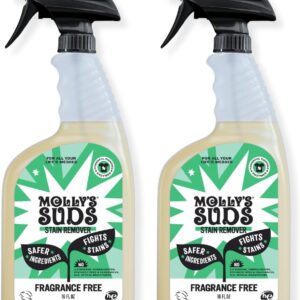 Molly’s Suds Stain Remover Spray | Gentle Yet Powerful, Great for Baby & Pet Stains | Clean, Simple Ingredients (Fragrance Free) (16 Fl Oz (Pack of 2))