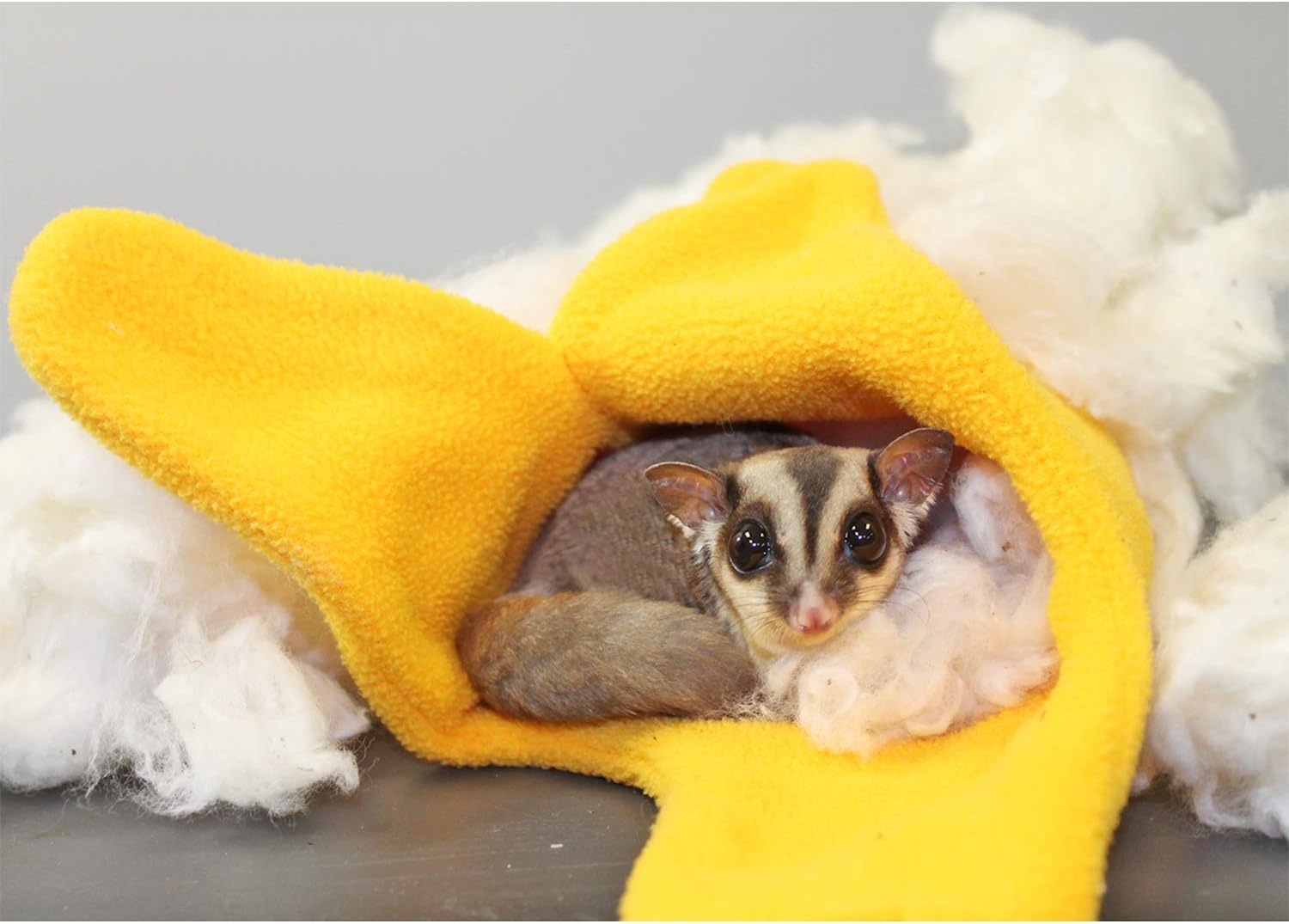 Exotic Nutrition All-Natural Nesting Material (4 oz.) - 100% Cotton Eco-Friendly Animal Bedding - for Sugar Gliders, Squirrels, Hamsters, Rabbits, Wild Birds & Wildlife - Image 4