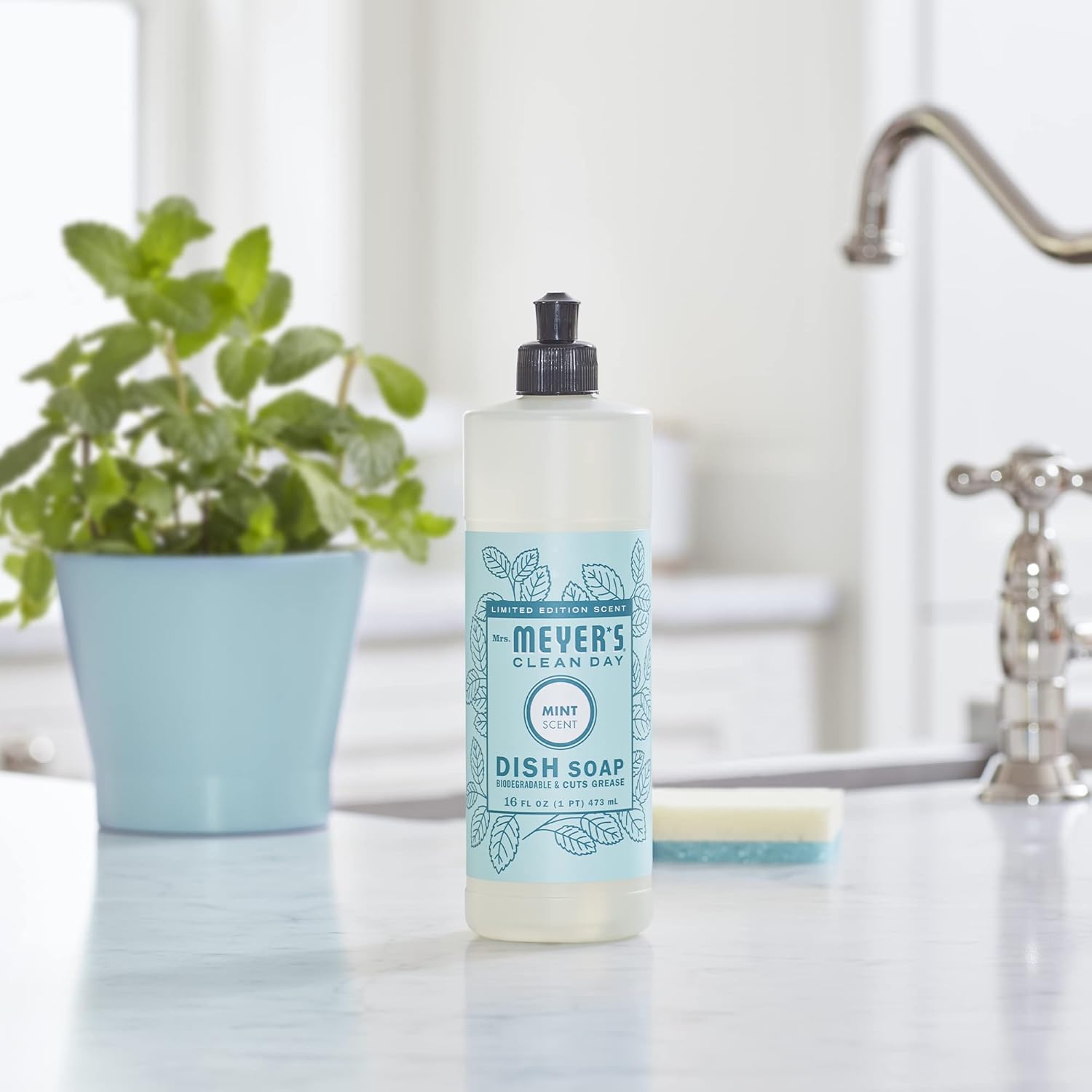 MRS. MEYER'S CLEAN DAY Liquid Dish Soap, Biodegradable Formula, Limited Edition Mint, 16 fl. oz - Pack of 6 - Image 7