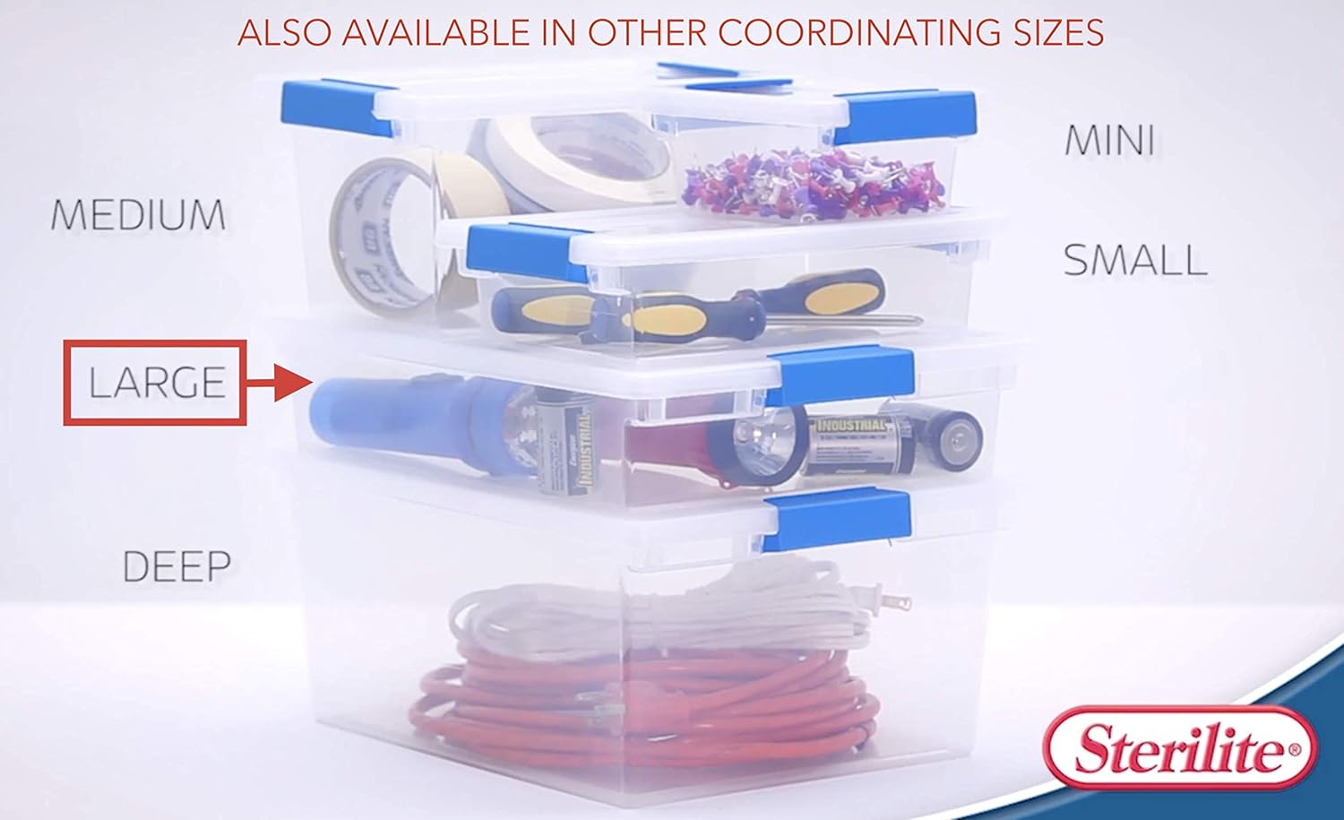 STERILITE 19638606 Large Clip Box, Clear with Blue Aquarium Latches 2 pieces (Large) - Image 3