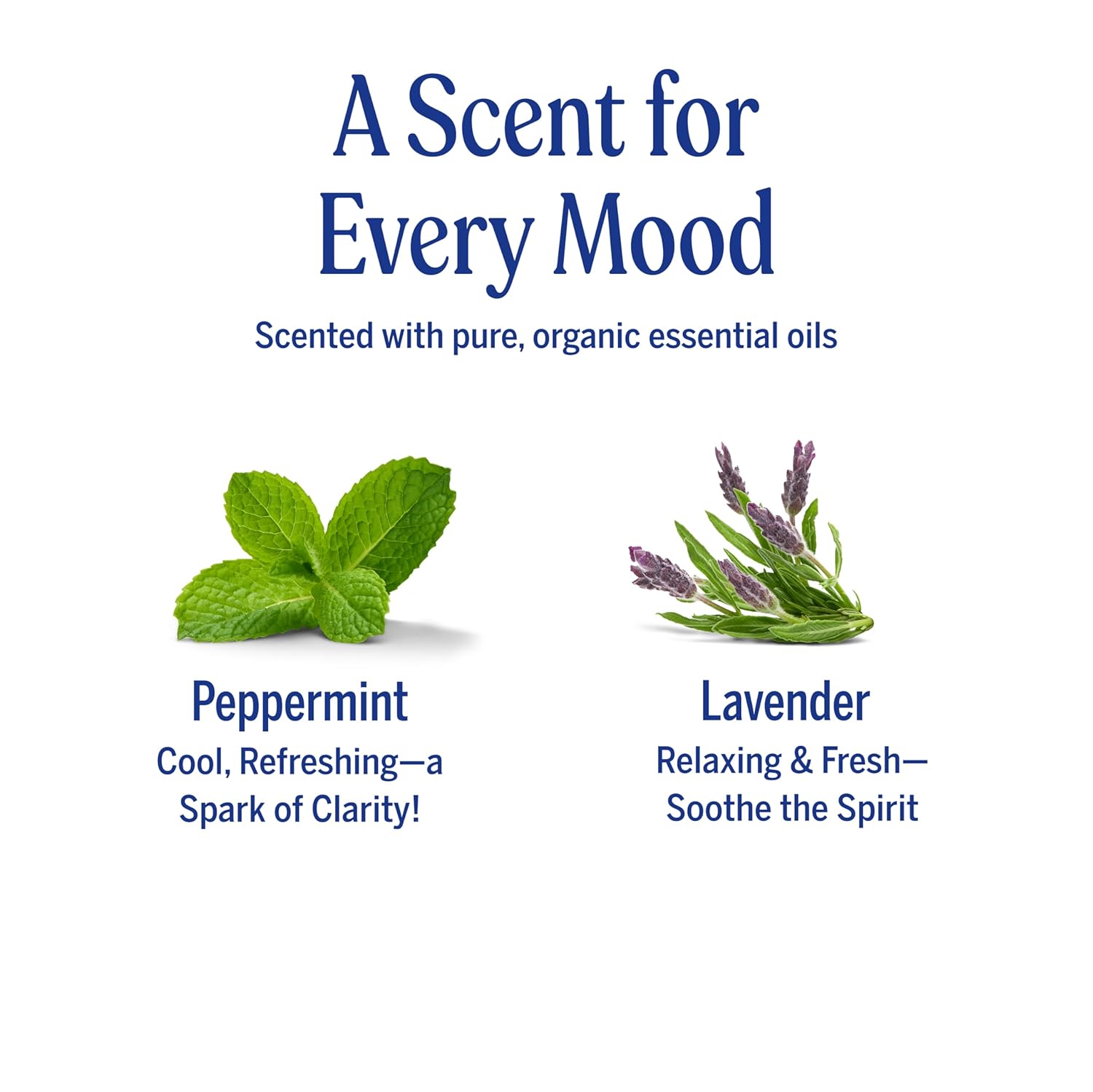 Dr. Bronner's Organic Hand Sanitizer Spray Variety Pack Travel Size Bulk, Simple & Effective Formula, Scented, No Harsh Chemicals - Lavender & Peppermint, 2oz (6-Pack) - Image 4