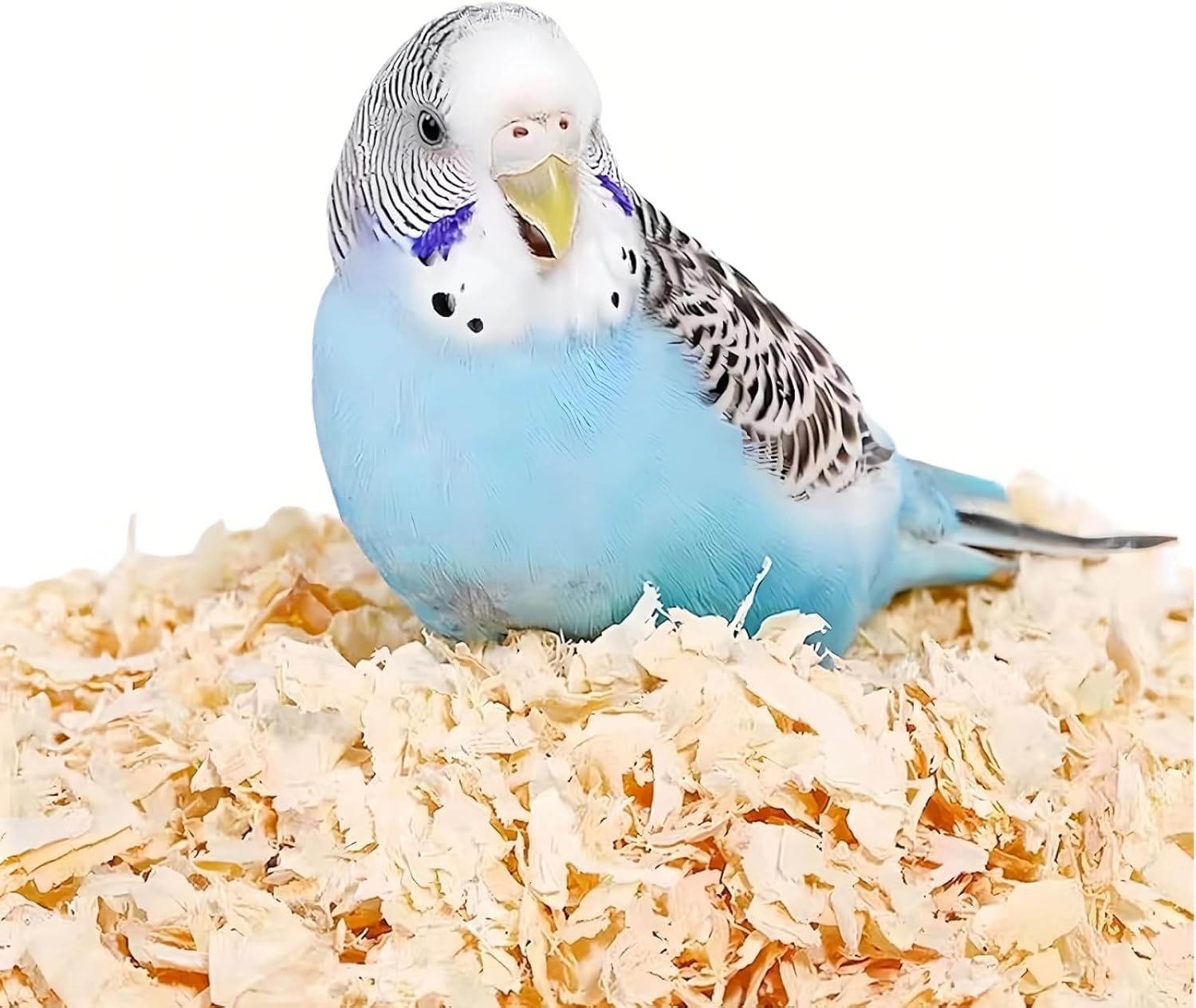 MANON ROSA Wood Shavings for Bird Bedding - Natural Aspen Soft Low-Dust & Odor-Control Nesting Material for Parakeets Parrots Rabbits Cockatiel for Cages, Nest Boxes, Small Pet Litter - Image 2