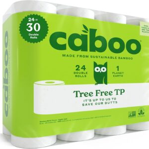 Caboo Tree Free Toilet Paper | Septic Safe, Eco Friendly, Chemical Free, Non Toxic | 2 Ply Toilet Tissue, Pack of 24 Double Rolls, 300 Sheets Per Roll