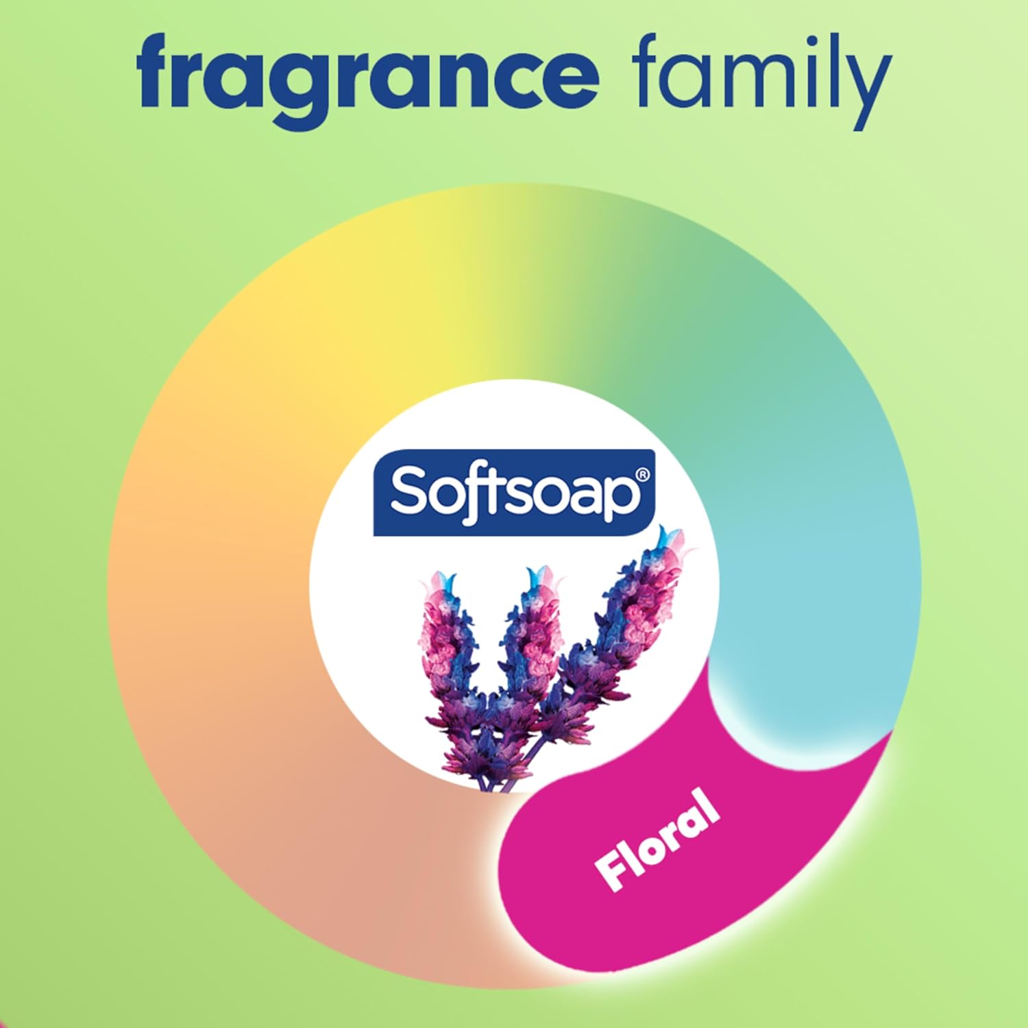 Softsoap Antibacterial Liquid Hand Soap, Sensitive Rosewater and Aloe scent Hand Soap, 11.25 Fl Oz (Pack of 6) - Image 6
