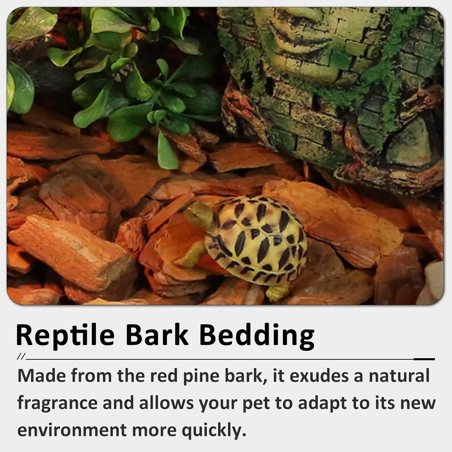 Hamiledyi Reptile Bark Bedding Tortoise Habitat Substrate Natural Terrarium Bark Wood Chips Tank Supplies for Snake Spiders Bearded Dragons Hermit Crabs Geckos - Image 5