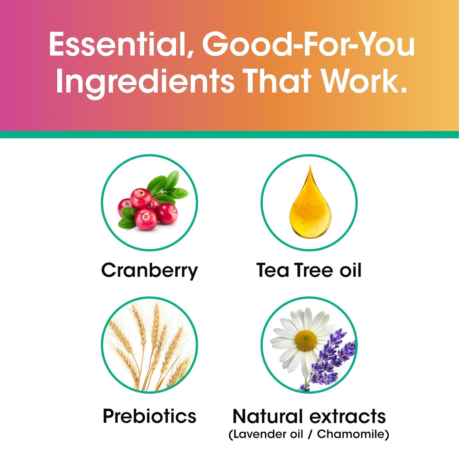vH Essentials Daily Feminine Wash - 6 Fl Oz - Fragrance-Free, Odor Eliminating Body & Vaginal Wash with Tea Tree Oil, Prebiotics and Lactic Acid for pH Balance, Odor Defense and Vaginal Health - Image 4
