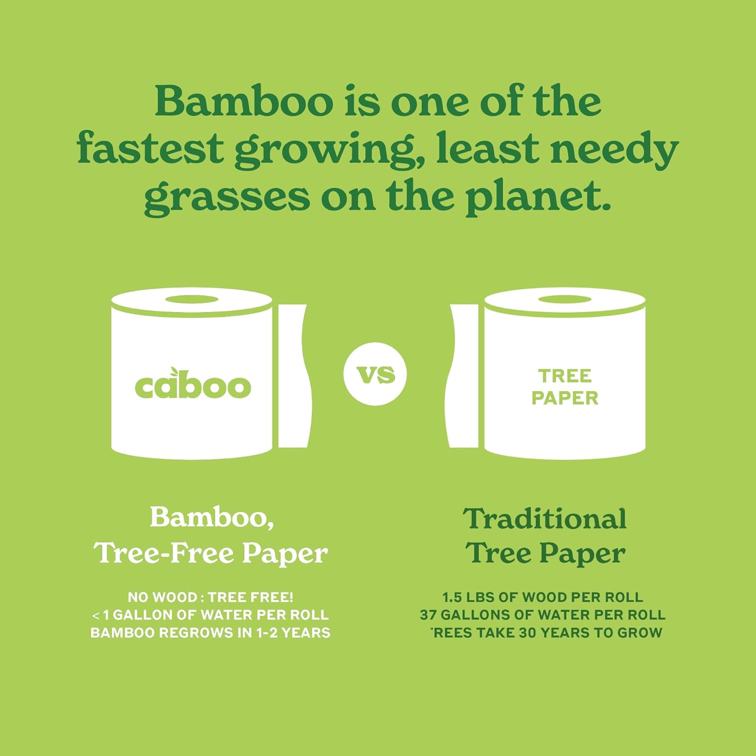 Caboo Tree Free Facial Tissue Paper, Tissue Box with 60 Sheets Per Cube, Total of 6 Cubes, 360 Total Tissues - Image 9