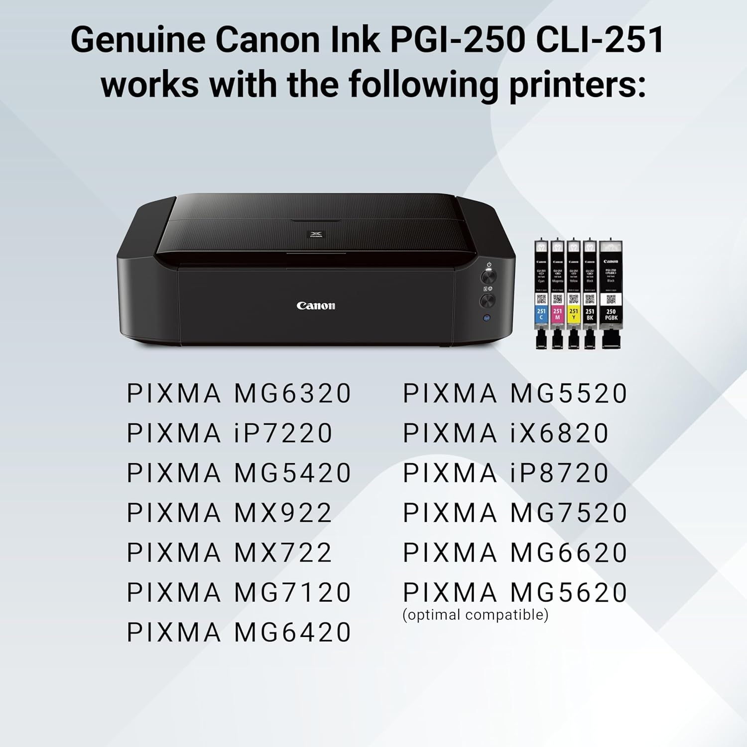 Canon PGI-250/ CLI-251 5 Color Amazon Pack - Image 7
