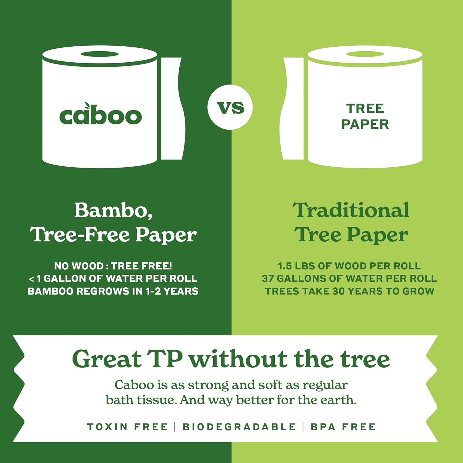 Caboo Tree Free Toilet Paper | Septic Safe, Eco Friendly, Chemical Free, Non Toxic | 2 Ply Toilet Tissue, Pack of 24 Double Rolls, 300 Sheets Per Roll - Image 7