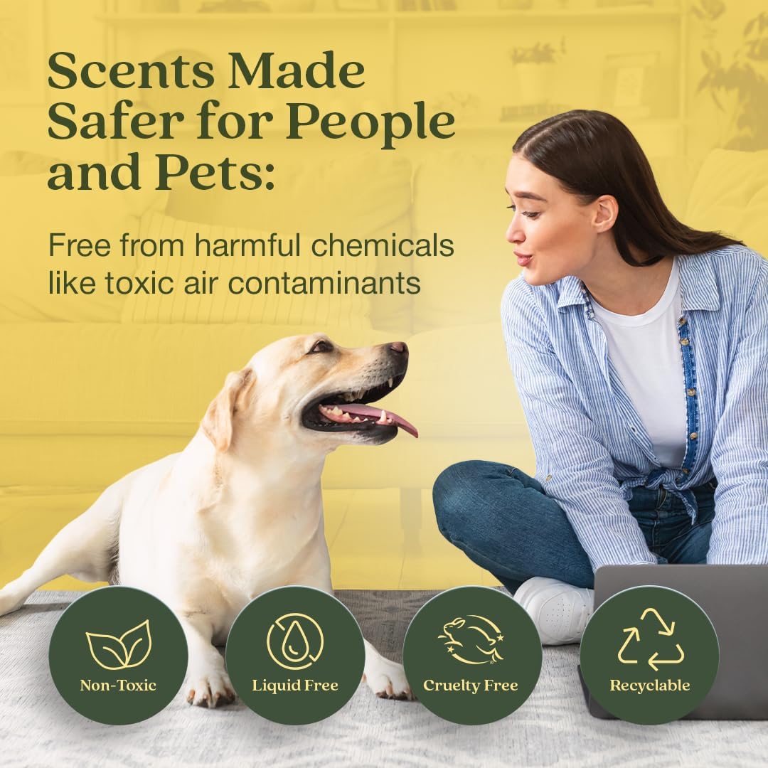 Enviroscent Non Toxic Air Freshener (Lemon Leaf & Thyme) Plug-in Home Fragrance Last 45+ Days | Kit includes 1 Refillable Plug In Warmer & 1 Scent Refill - Image 2