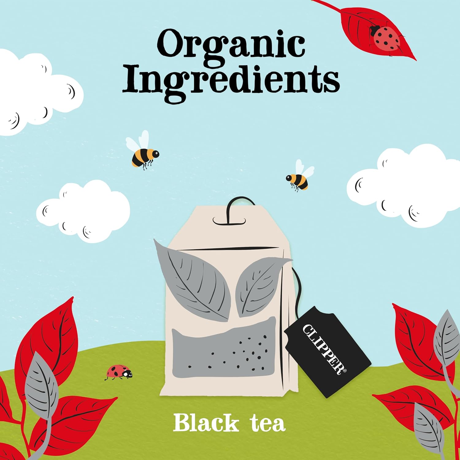 Clipper Tea, English Breakfast Assam Blend, Fairtrade, Organic, Plant-Based, Caffeinated British Tea, 1 Pack, 80 Unbleached Tea Bags - Image 5