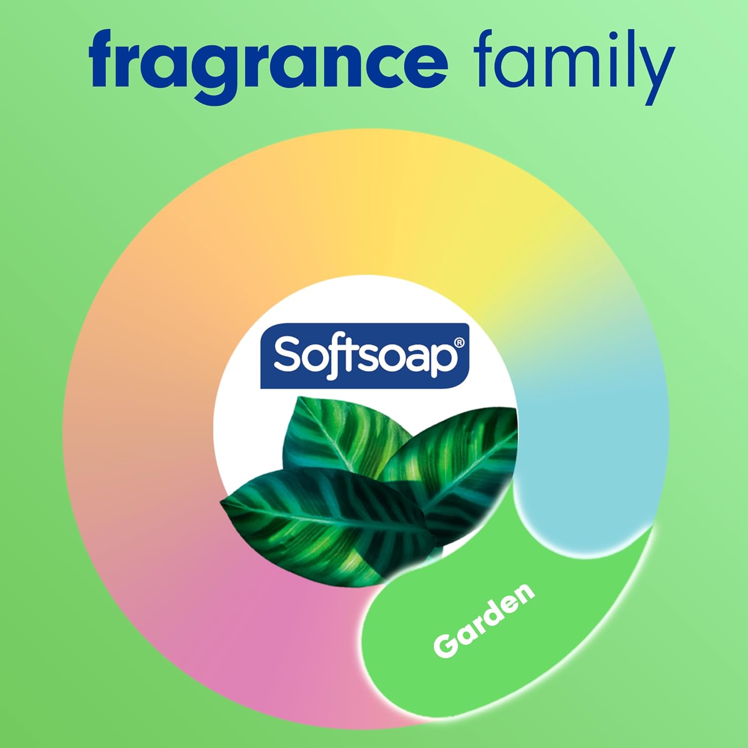 Softsoap Moisturizing Liquid Hand Soap, Soothing Clean Aloe Vera - 7.5 Fl Oz (Pack of 6) - Image 5