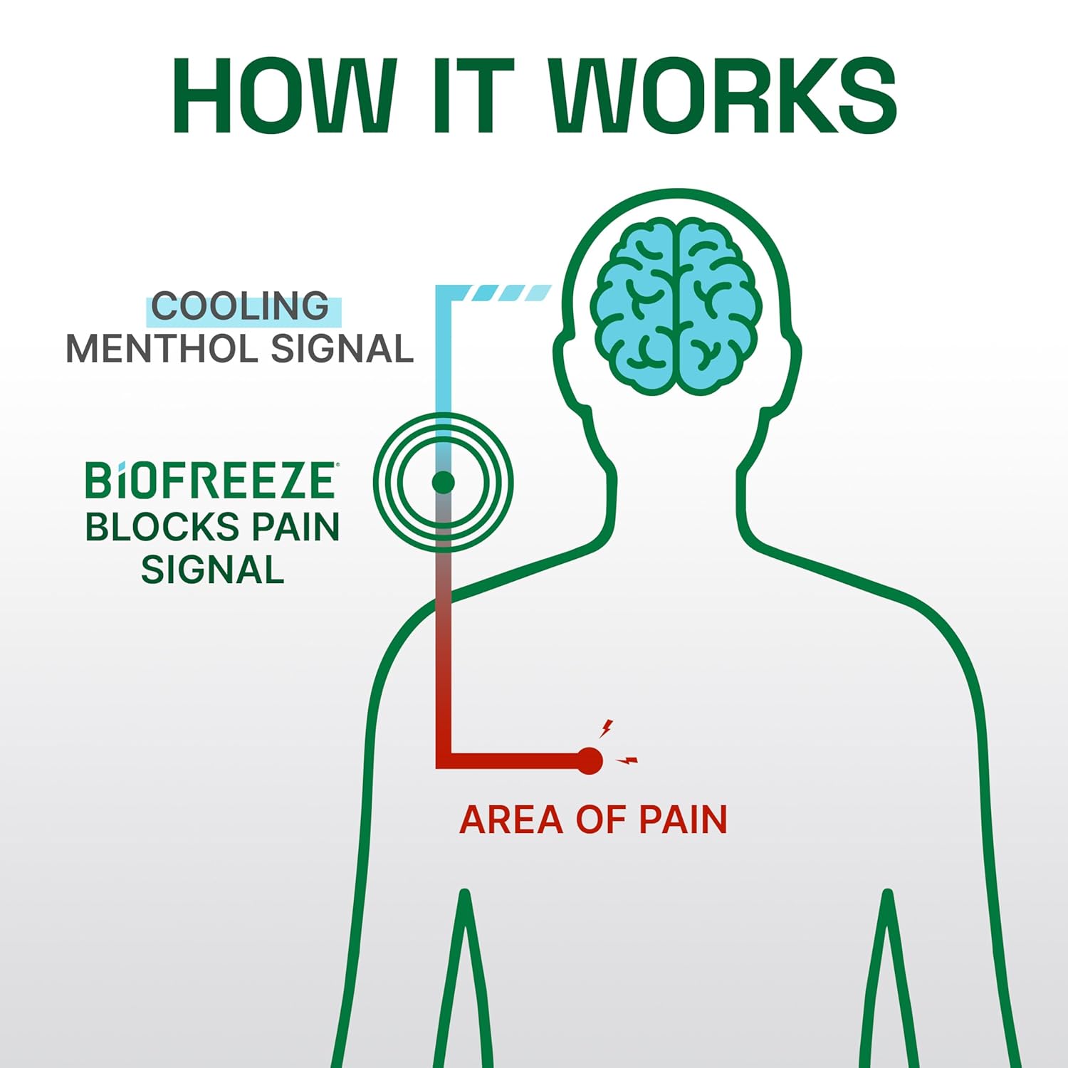 Biofreeze Professional Pain Relief Spray for Knee, Neck, Hip, Joint, Shoulder, & Simple Backache, Arthritis Pain Reliever, Sore Muscle Relief, Colorless Menthol Spray 4 Fl Oz (Pack of 3) - Image 7