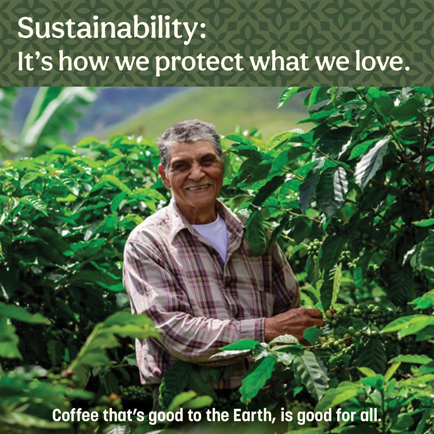 Don Francisco's Premium Vanilla Nut Ground Flavored Coffee: Rich, Aromatic 100% Arabica Beans - Family Crafted for a Delightful Morning Brew (3 x 10 oz Cans) - Image 6