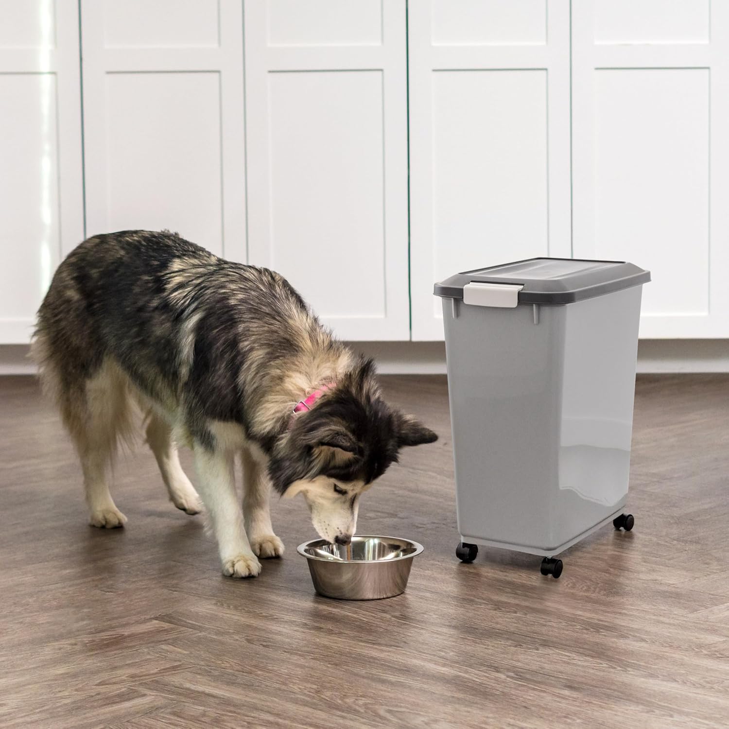 IRIS USA Dog Food Storage Container with Wheels, Airtight Lid, 2-Cup Scoop, Up to 40 Pounds Pet Food Storage, Built in Scoop Storage in Lid, Versatile Pet Food Bin, Portable, BPA Free, Gray/Dark Gray - Image 9