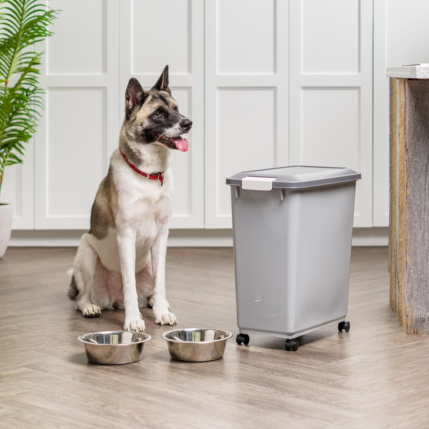 IRIS USA Dog Food Storage Container with Wheels, Airtight Lid, 2-Cup Scoop, Up to 40 Pounds Pet Food Storage, Built in Scoop Storage in Lid, Versatile Pet Food Bin, Portable, BPA Free, Gray/Dark Gray - Image 8
