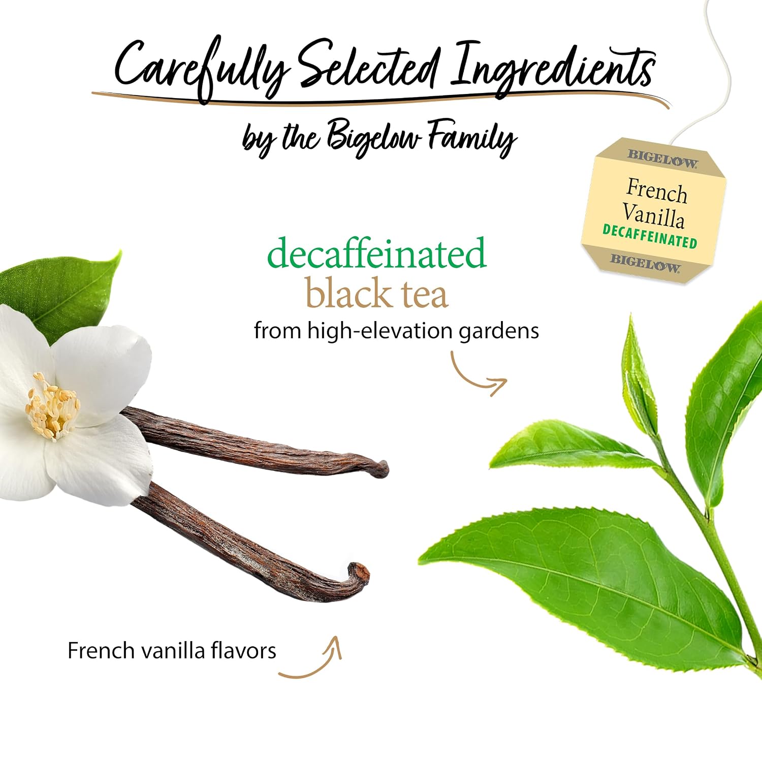 Bigelow Tea Decaffeinated French Vanilla Black Tea, Decaf Tea with French Vanilla, 20 Count Box (Pack of 6), 120 Total Tea Bags - Image 4