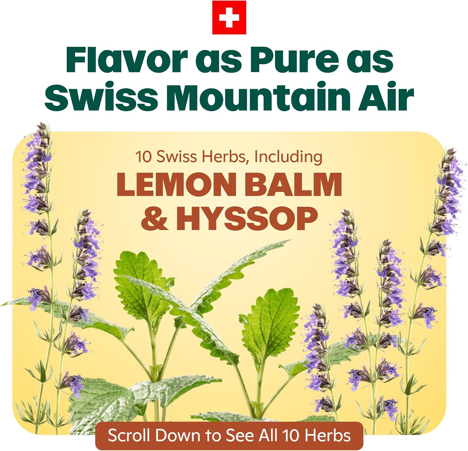 Ricola Swiss Herb Sugar Free Cough Drops with Menthol - Cough and Sore Throat Relief - 19 Count - Herbal Throat Lozenges - Image 4