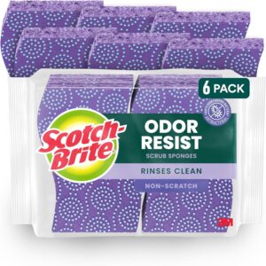 Scotch-Brite Scrub Dots Non-Scratch Scrub Sponge, Rinses Clean, for Washing Dishes and Cleaning Kitchen, 6 Scrub Sponges