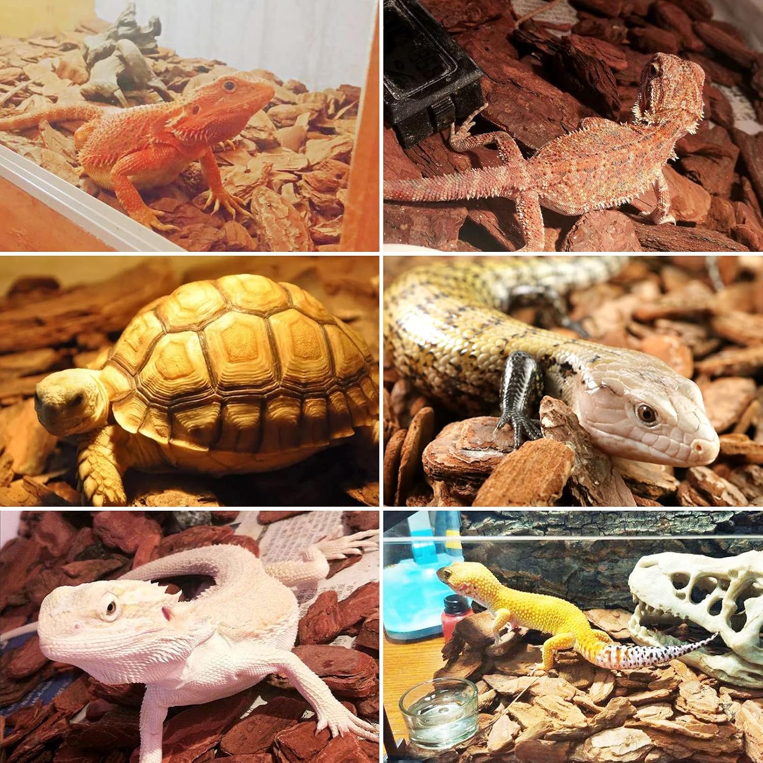 Hamiledyi Reptile Bark Bedding Tortoise Habitat Substrate Natural Terrarium Bark Wood Chips Tank Supplies for Snake Spiders Bearded Dragons Hermit Crabs Geckos - Image 4