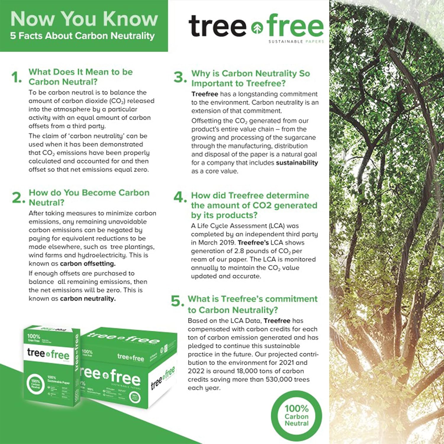 BAZIC Products Tree Free Copy Paper - 8.5 X 11 Made From Sugarcane Fiber, Smooth Printer Paper for Daily Use, Reliable Copy & Printing Paper Ideal for Home, Office and School, 500/Ream - Image 4