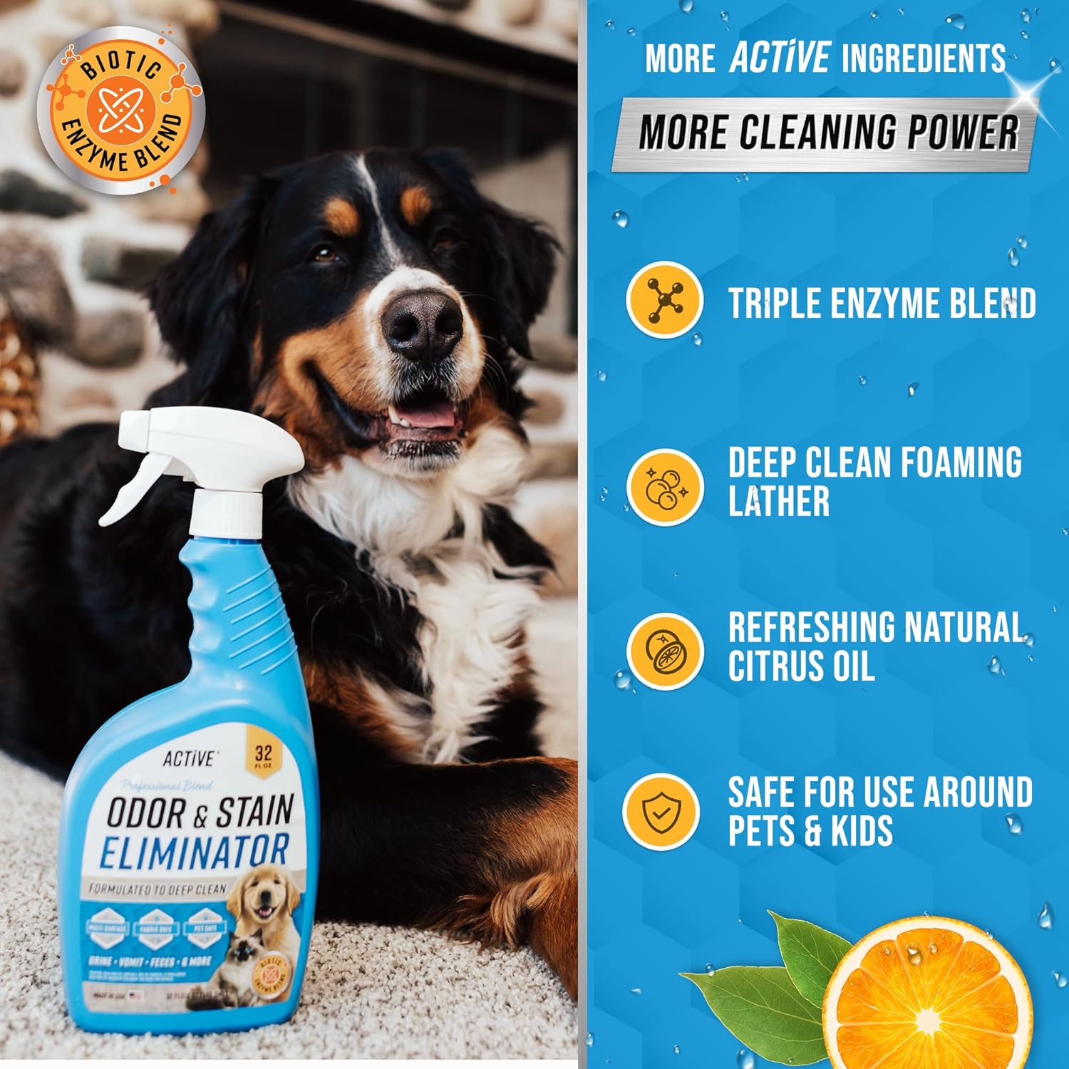 Pet Odor and Stain Eliminator - 32 oz ACTIVE Enzyme Cleaner for Dog & Cat Urine, Stain Remover Spray for Carpet, Upholstery, Hardwood, Spot Cleaning, Deodorizer for Dogs Cats Pets - Natural Citrus Oil - Image 6