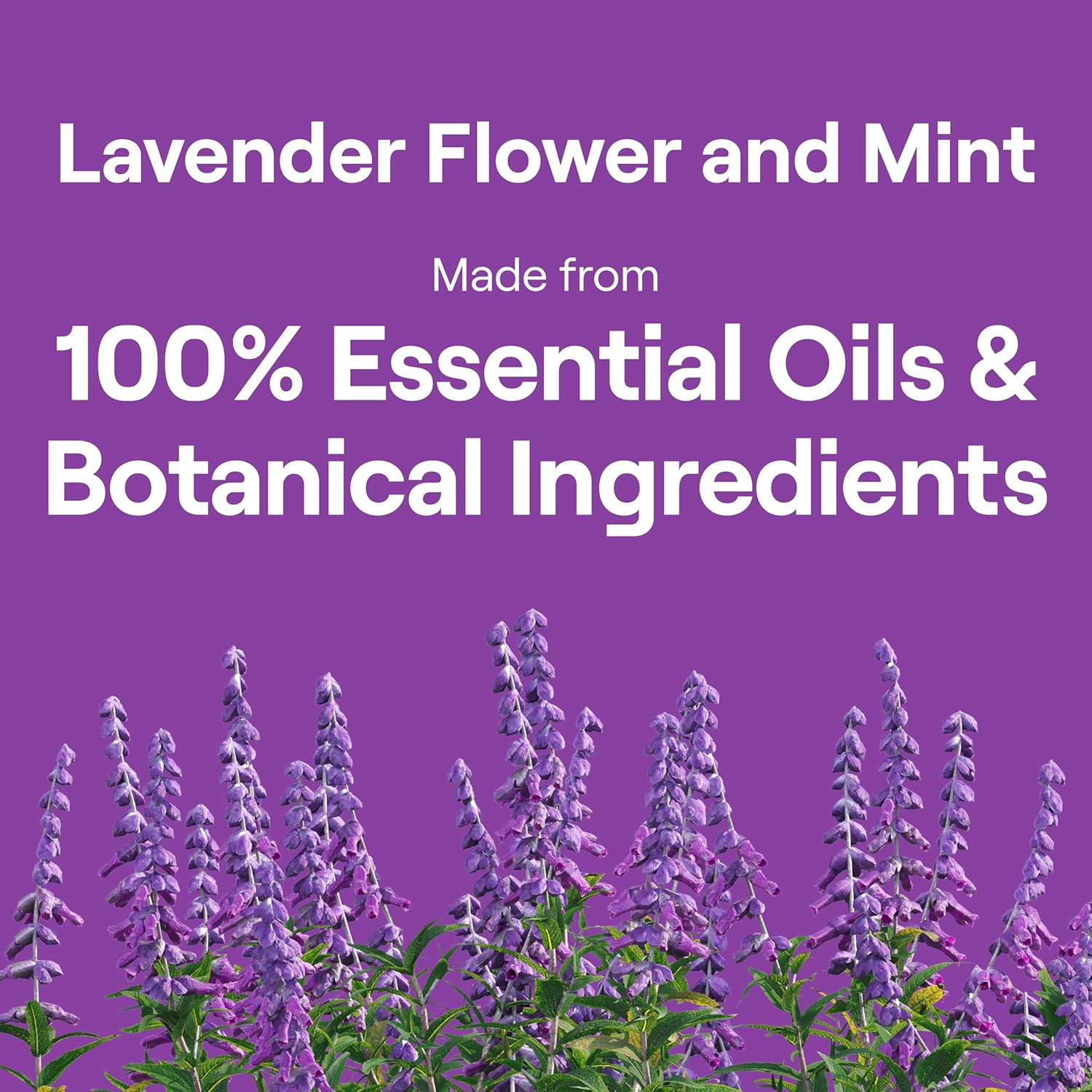Seventh Generation Dish Soap Liquid Lavender Flower & Mint Scent Pack of 6 Dishwashing Soap Dish Detergent Liquid Soap 19 oz - Image 10