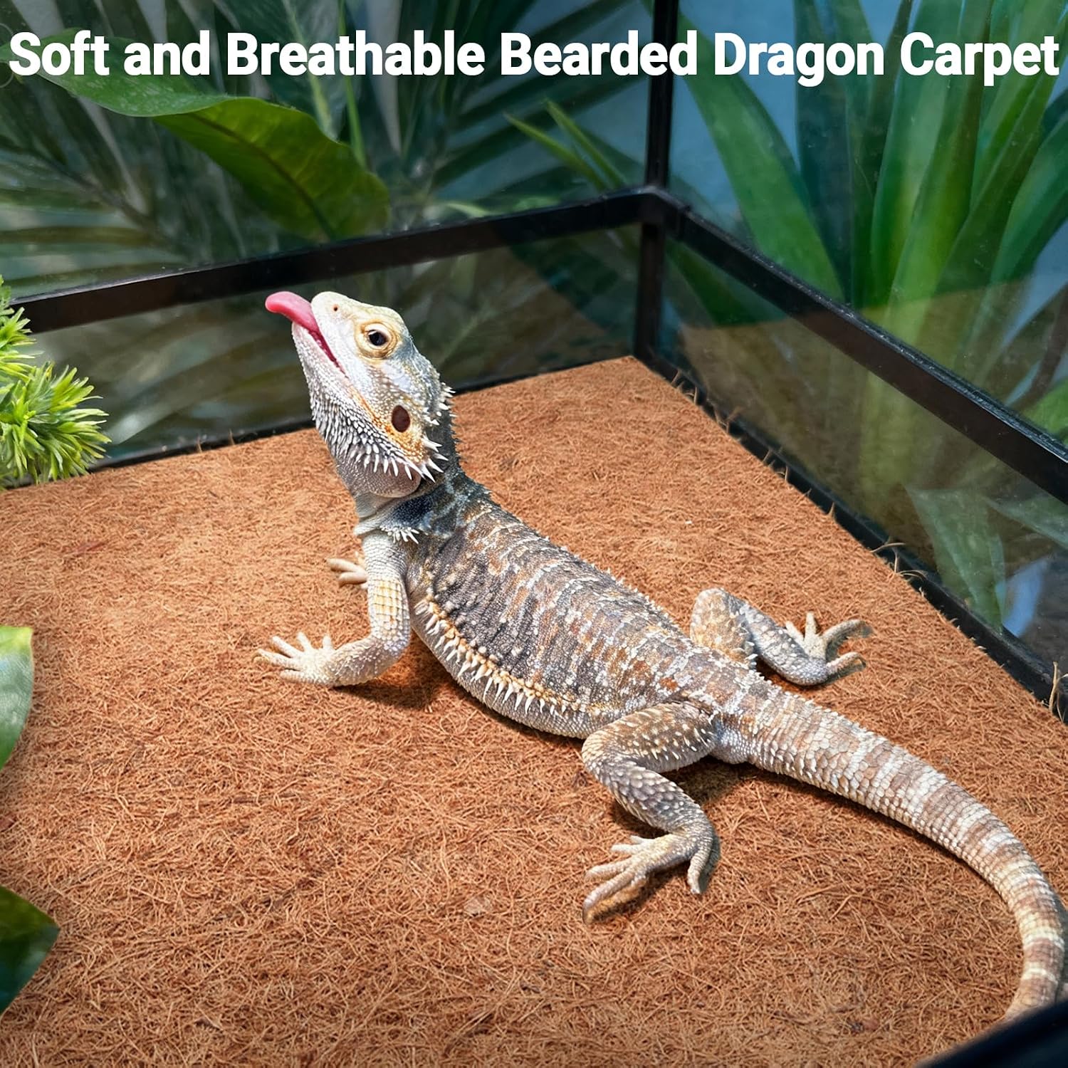 ZeeDix 10 Pcs Reptile Carpet, 12X12 inch Natural Coconut Fiber Liner Mat Flooring Accessories for Reptile Tank - Bearded Dragon Tortoise Lizard Turtle Snake Leopard Gecko Substrate Bedding - Image 9