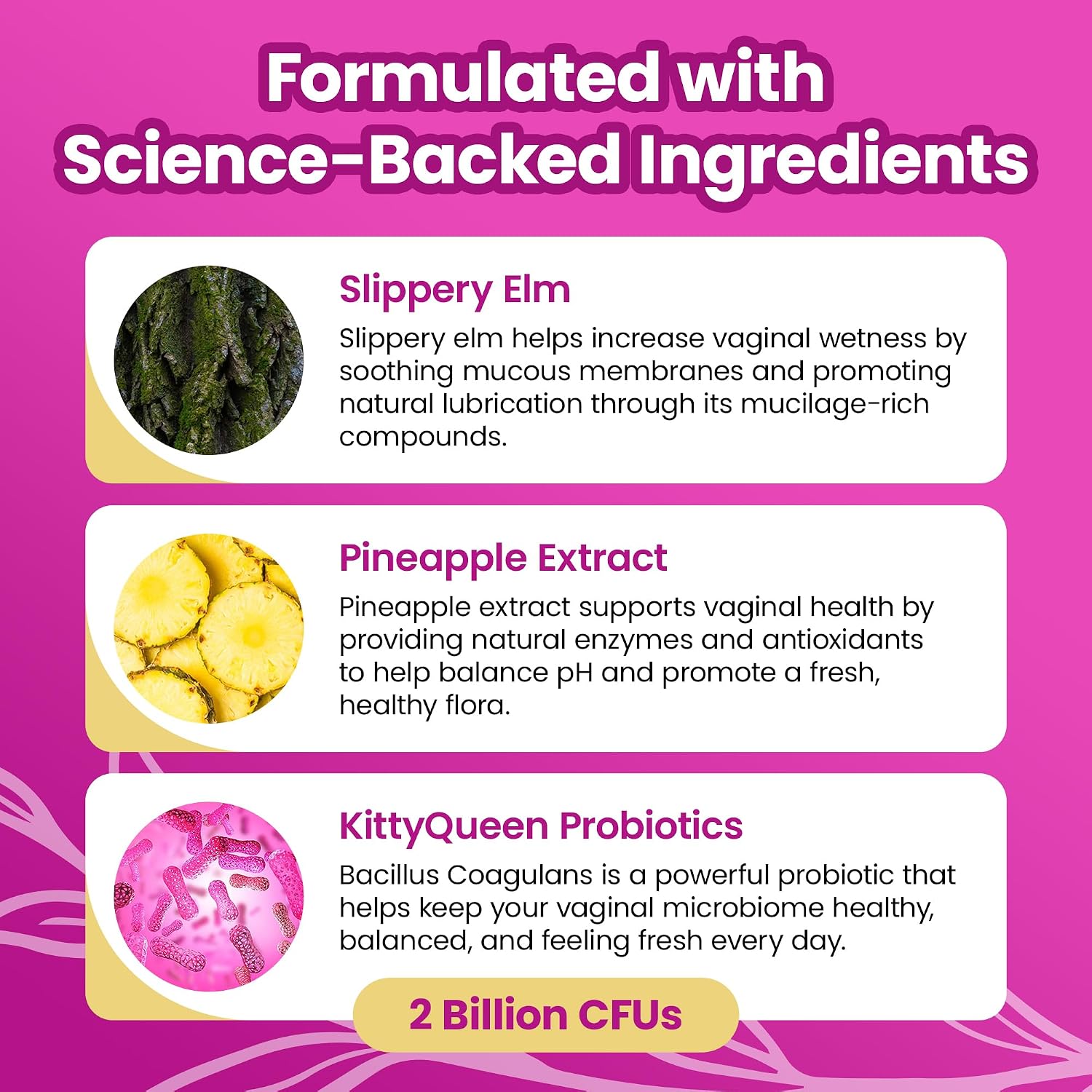 KITTYQUEEN Slippery Kitty Feminine Probiotic and Moisture Gummies, Pineapple Flavor, Women’s Probiotic Gummies for Vaginal Health, pH Balance, Odor Control, Flora Support and Moisture Boost, 60 Count - Image 6