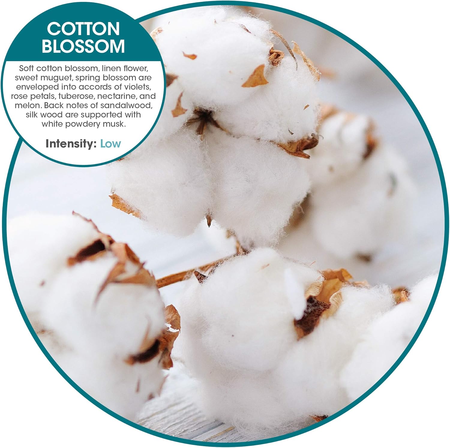 Fresh Products ourfreshe Plug In Air Freshener 30 Day Refills Replace Messy Aerosols with Dry Fragrance For Use in Medium Sized Spaces Cotton Blossom 6 Pack - Image 2