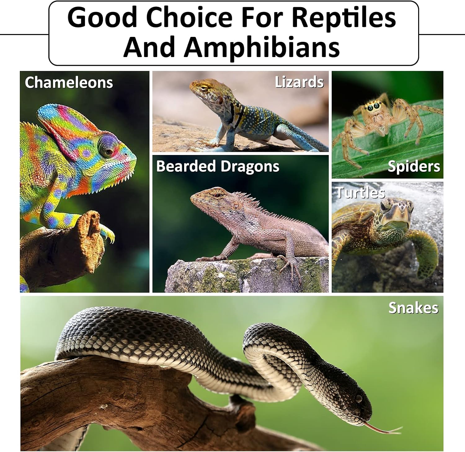 Hamiledyi Reptile Bark Bedding Tortoise Habitat Substrate Natural Terrarium Bark Wood Chips Tank Supplies for Snake Spiders Bearded Dragons Hermit Crabs Geckos - Image 9
