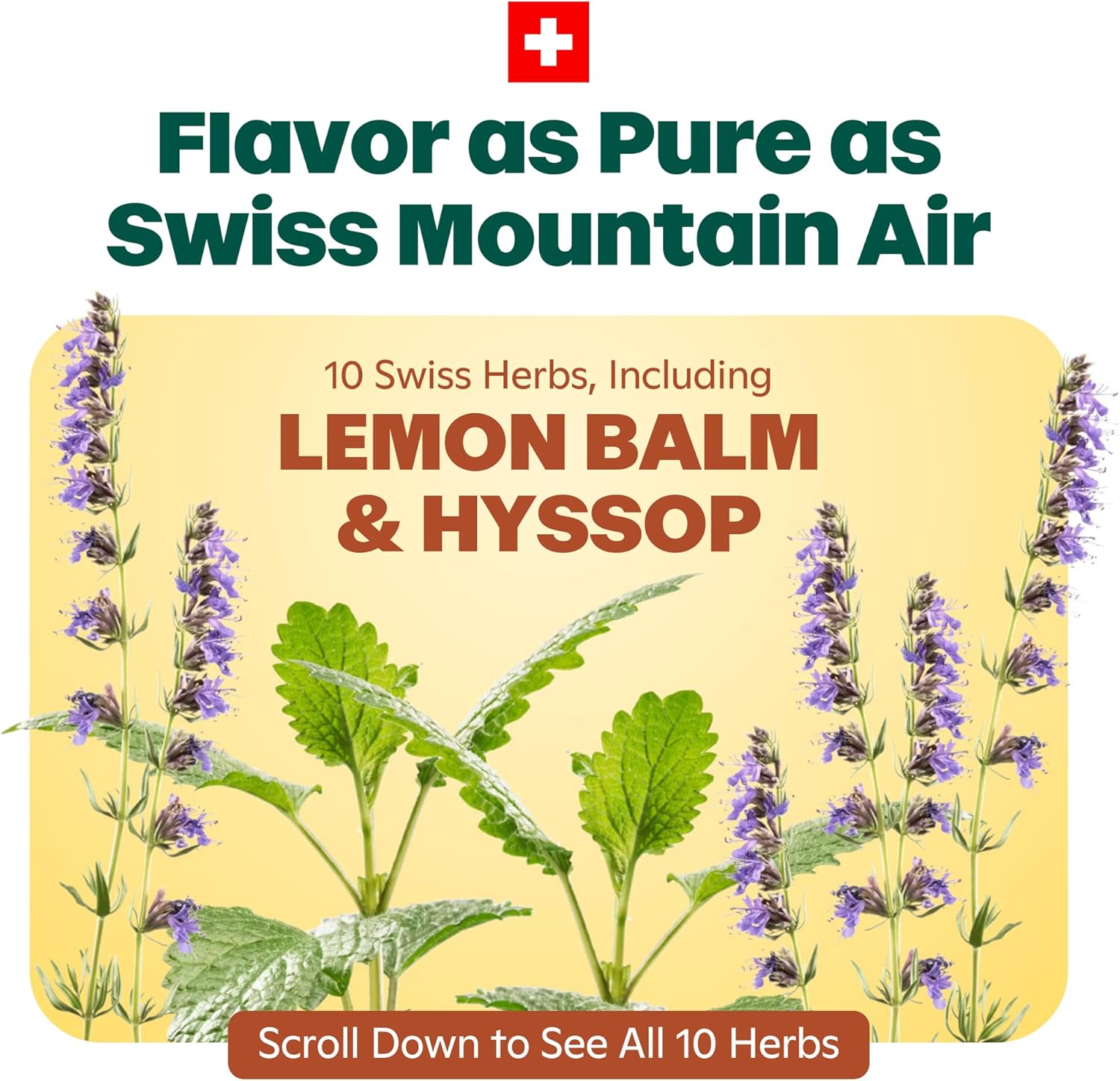 Ricola Swiss Herb Sugar Free Cough Drops with Menthol - Cough and Sore Throat Relief - 45 Count - Herbal Throat Lozenges - Image 4