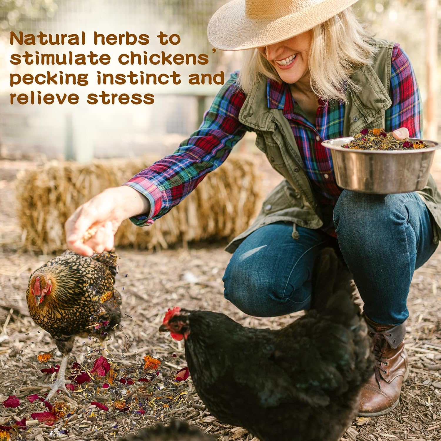 Chicken Nesting Herbs Nesting Herbs for Coop 1Pound of Mixture for Nesting Boxes, Chicken Bedding for Coop, Egg Production, and Stress Relief - Image 5
