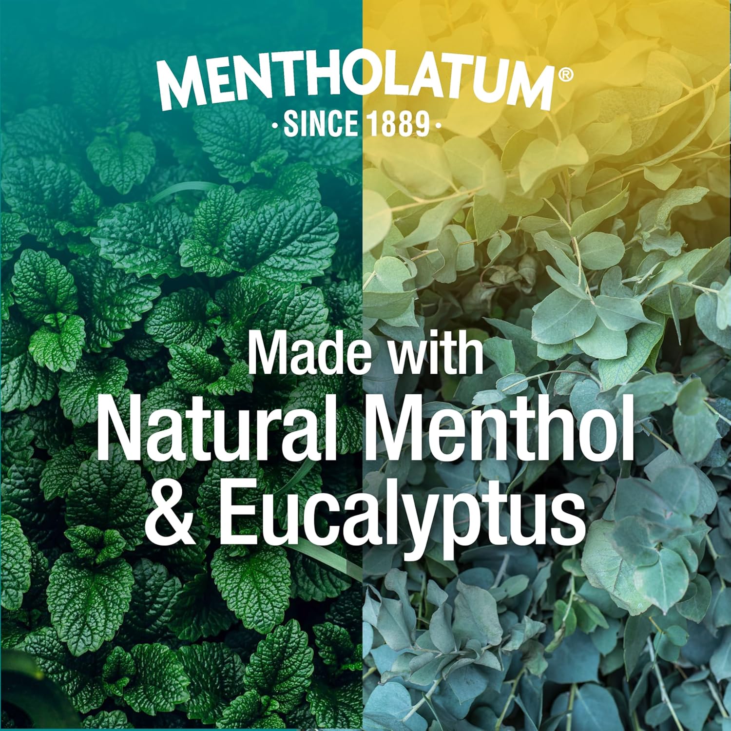 Mentholatum Vaporduo (1 Pack) - Image 5