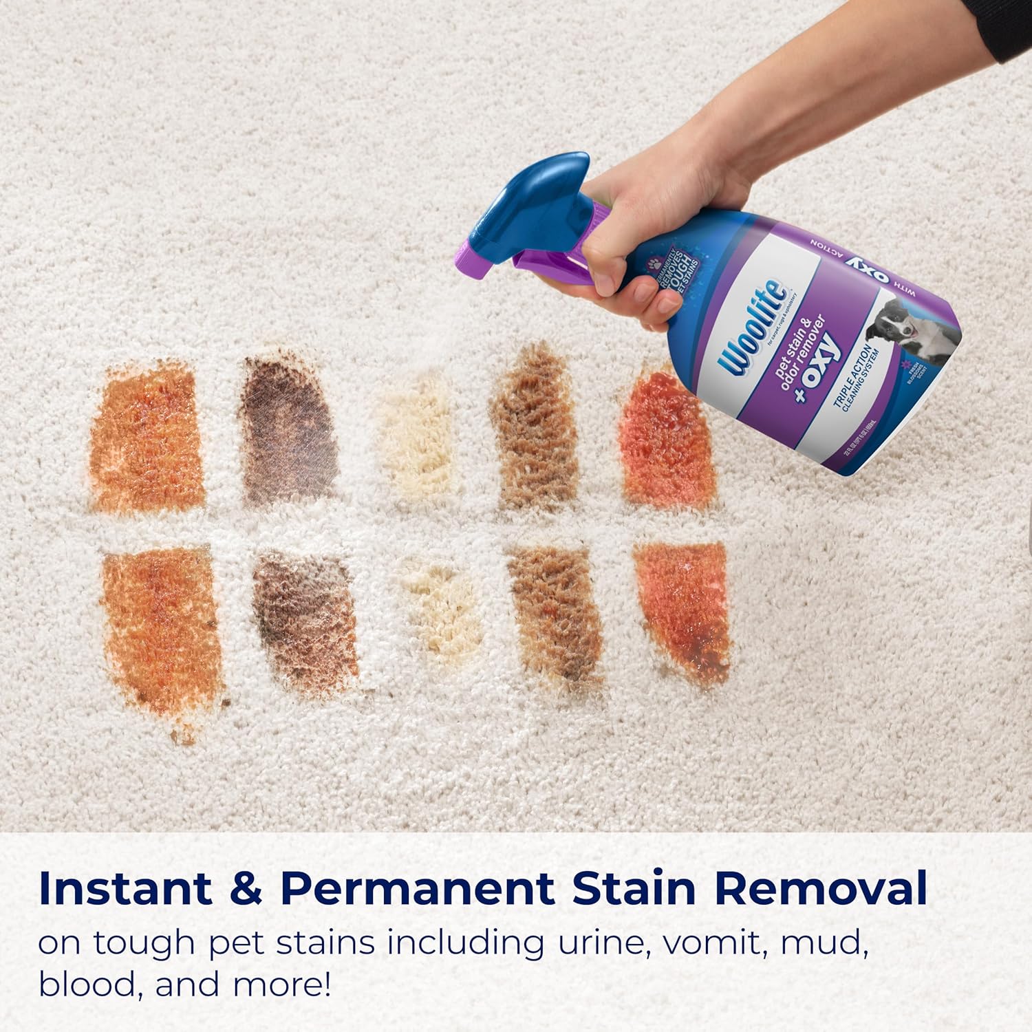 Bissell Woolite® Advantage Pet Stain & Odor Remover + Oxy, 2-Pack, 3326 - Image 4