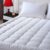 EASELAND Queen Size Mattress Pad Pillow Top Mattress Cover Quilted Fitted Mattress Protector Cotton Top Stretches up 8-21″ Deep Pocket Cooling Mattress Topper (60×80 inch, White)