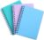 Spiral Notebook, 3 Pack Small Notebooks 4.3”x 5.7”,Mini Ruled Lined Journal, 480 Pages, College School Supplies Pocket Notebook for Work, Aesthetic Gift Office Supplies for Teen Girls,Boys
