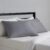 Amazon Basics Standard Pillowcases Set of 2 – Lightweight, Super Soft Easy Care Microfiber, Dark Gray, 30″ L x 20″ W, Pillows Not Included