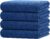 HOMEXCEL Bath Towel Set Pack of 4, 30 x 60 Inches Large Microfiber Bath Towels, Soft, Absorbent, and Quick Dry Towels for Bathroom, Pool, Beach, Swim, and Yoga, Large Bathroom Towels, Blue